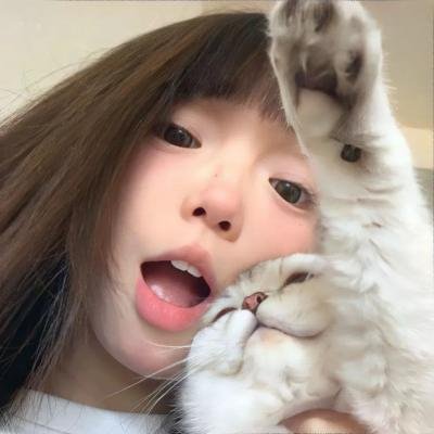 选举潮